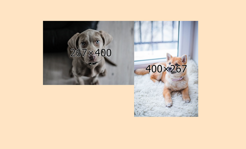 CSS】画像を親要素内からはみ出さずに合わせて表示する＜object-fit 